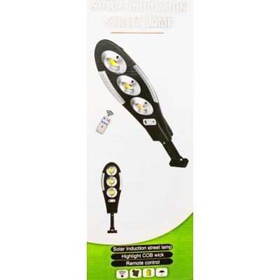 Solar Induction Wall Lamp